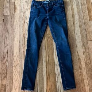 Banana Republic Jeans Womens 28 Skinny Blue Denim Stretch 28” inseam